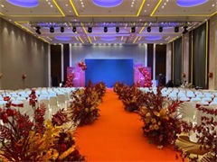 龙岗开业庆典、会议会务、周年庆典策划、晚会舞台搭建 龙岗开业庆典、会议会务、周年庆典策划、晚会舞台搭建